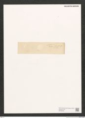 Diatomeae indet. Zeichnungen Sammlung Grunow (NHMW-BOT-W0368483)